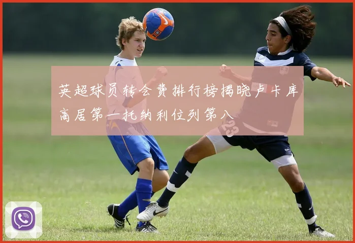 英超球员转会费排行榜揭晓卢卡库高居第一托纳利位列第八