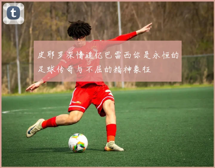 皮耶罗深情追忆巴雷西你是永恒的足球传奇与不屈的精神象征
